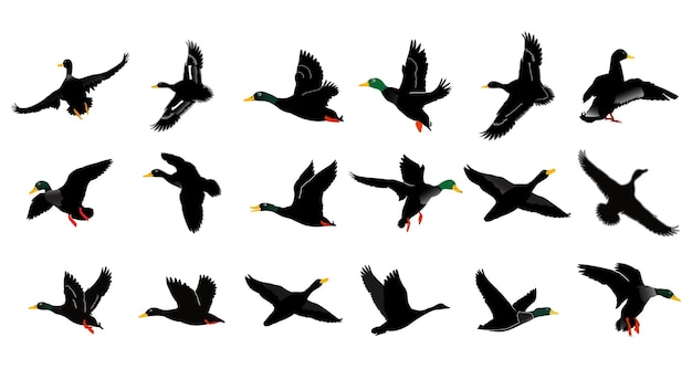 Vector a flock of ducks is flying in the sky