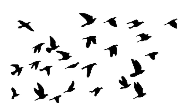 Flock of flying birds