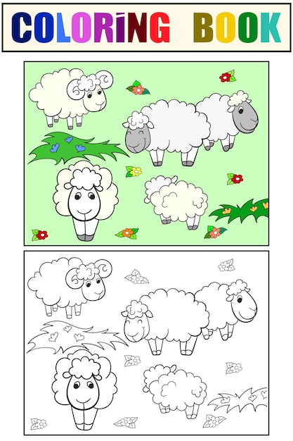 Flock of sheep Set of children art coloring book and drawing