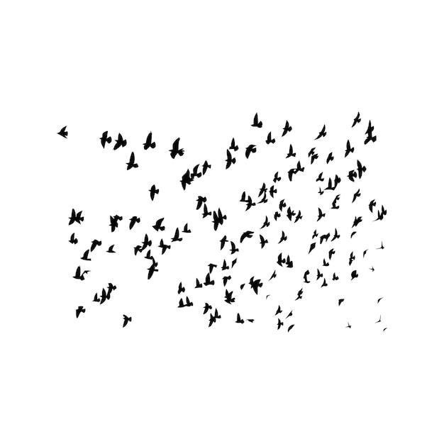 Flocks of free birds are soaring in the sky vector silhouette