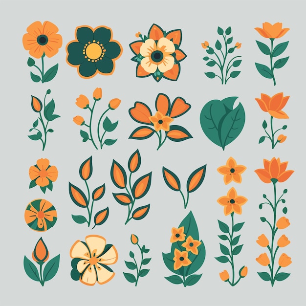 Flora graphic design