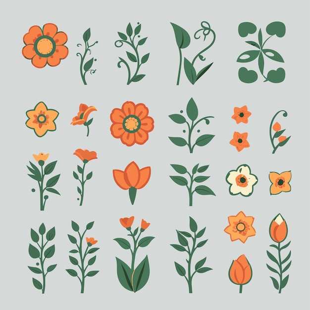 Flora graphic design