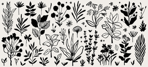 Floral abstract shapes and leaves for natural modern botany design Minimalist nature elements set