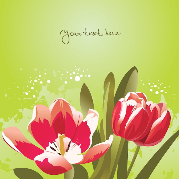 Floral background with tulips