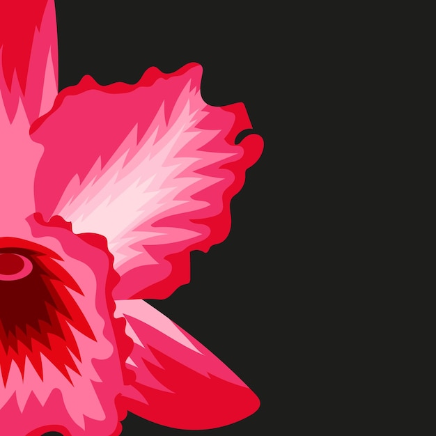 floral banner of half a pink orchid on a black background for postcard use vector