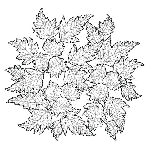 Floral Clipart in Coloring Book Style