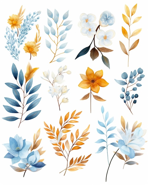 Floral Clipart on White Isolated Background