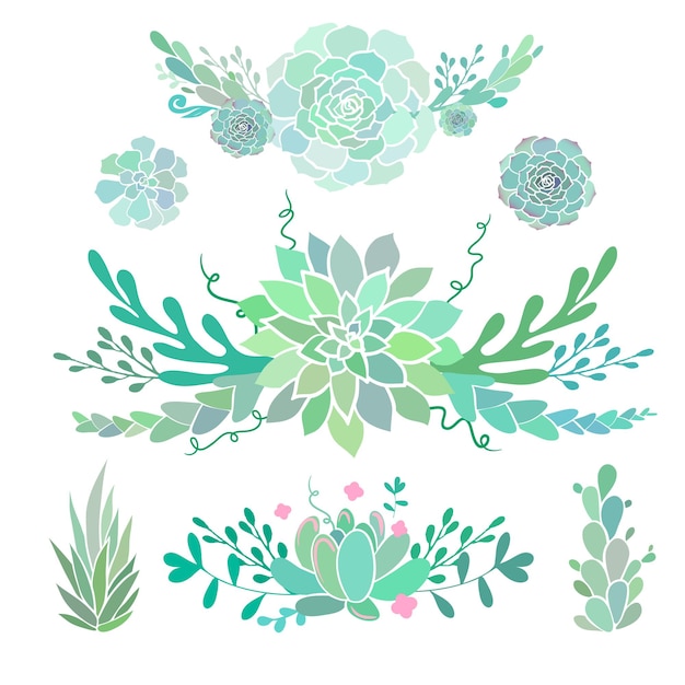 Floral compositions with succulents vector floral decorative borders