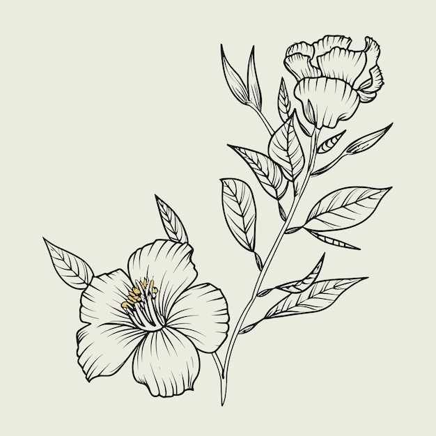 Floral Design line art Vector