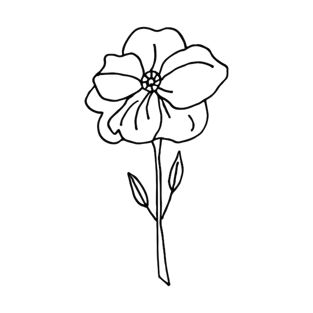 Floral doodle poppy Wild meadow flower Hand drawn illustration