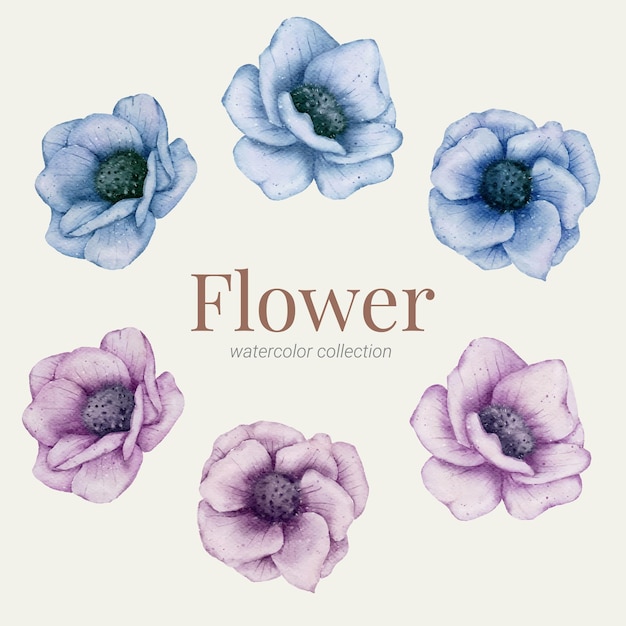 Floral element watercolor collection