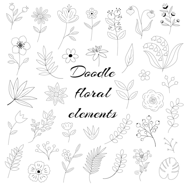 Floral elements doodle set Flower graphic design Herbs berries and wild flowers