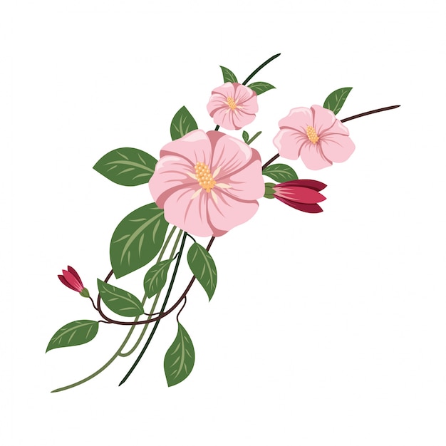 Floral Elements Vector