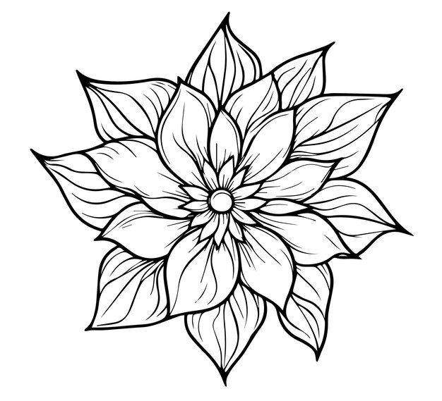 Vector floral flower mandala outline vector for coloring pages