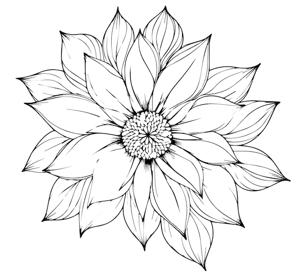 Vector floral flower mandala outline vector for coloring pages