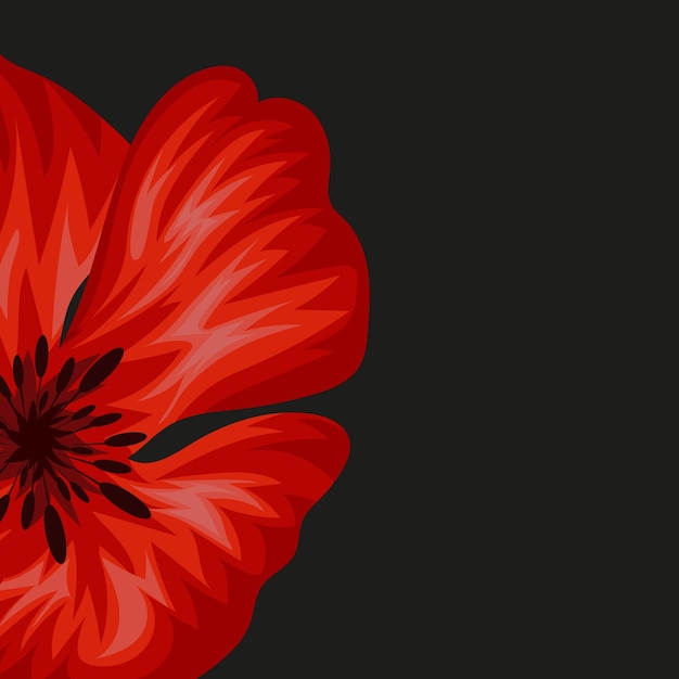 floral frame template for cards or banners consisting of a field poppy bud on a black background