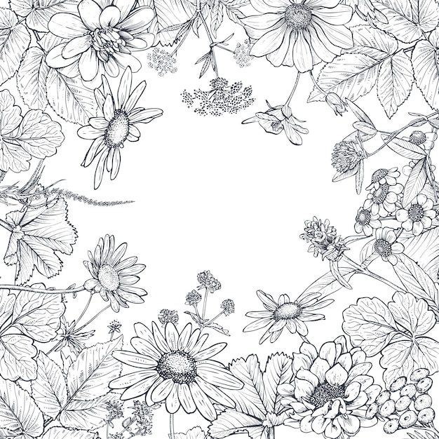 Floral frame with hand drawn wildflowers and plants Monochrome vector illustration