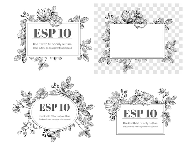 Floral hand drawn elements. Flowers set. rose hip vector illustration. Black outline