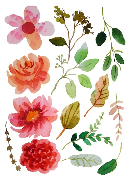 floral hand drawn watercolor flower elements