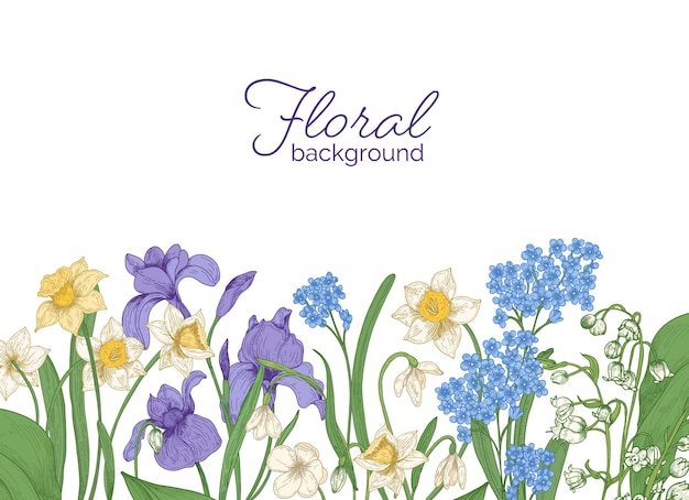 Floral horizontal backdrop decorated with spring meadow and woodland blooming flowers growing at bottom edge on white background