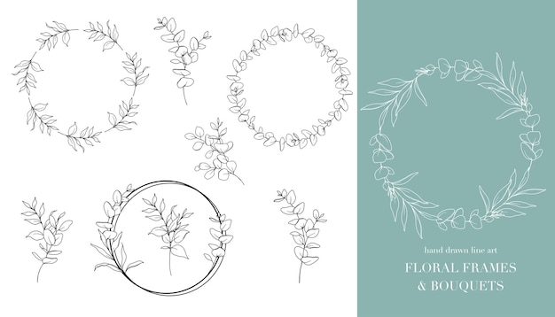 Floral Line Art Eucalyptus Flower Outline Hand Drawn Outline Eucalyptus isolated