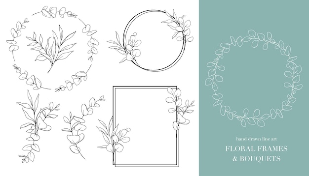 Vector floral line art eucalyptus flower outline hand drawn outline eucalyptus isolated