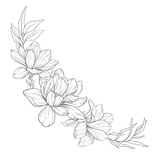 Floral Line Art Magnolia Outline Illustration Magnolia FLower Line Art