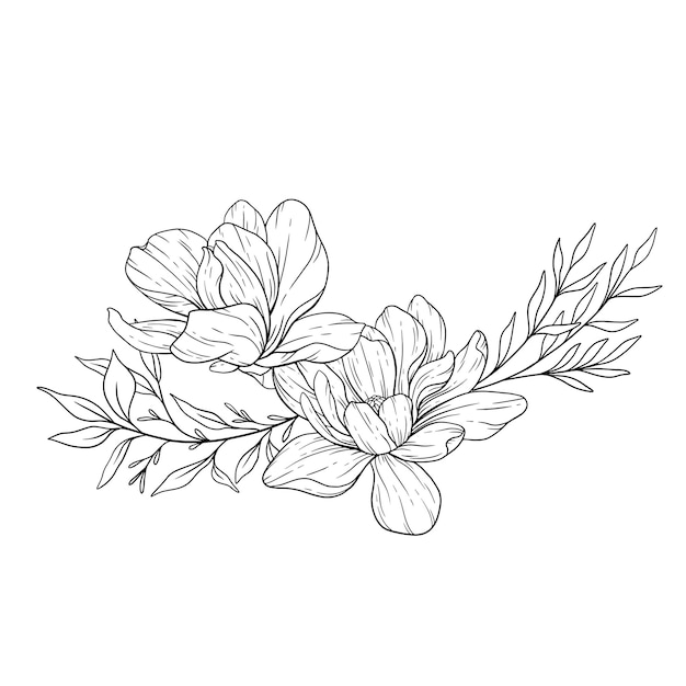 Floral Line Art Magnolia Outline Illustration Magnolia FLower Line Art