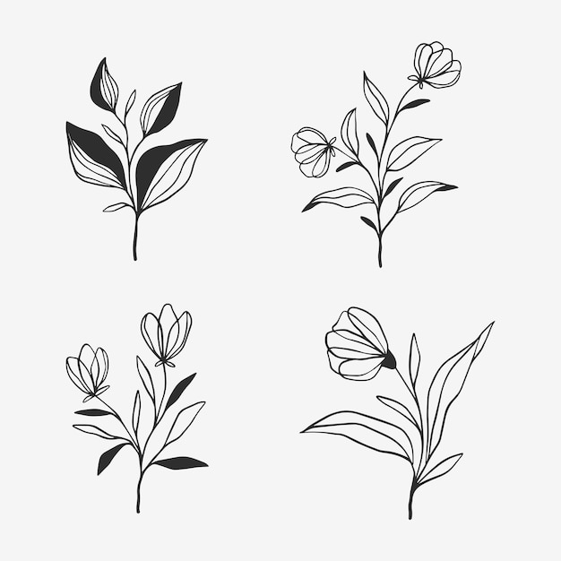 Floral line art minimal design collection