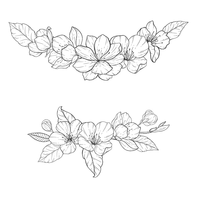 Floral Line Art, Sakura Flower Outline Illustration Set, Sakura Branch Black and White