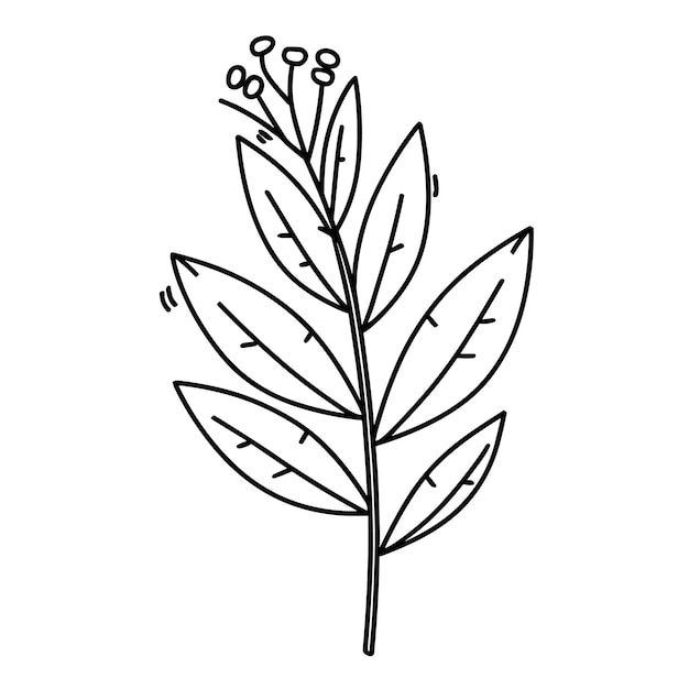 Floral Line Art Vector