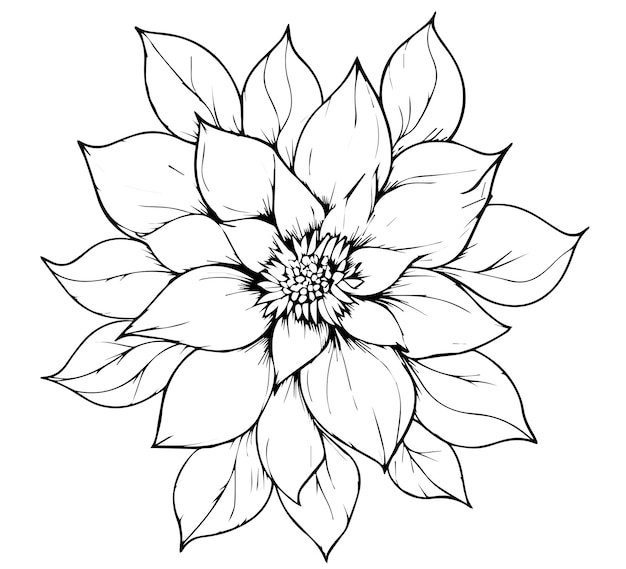 Vector floral mandala outline vector coloring pages for kids