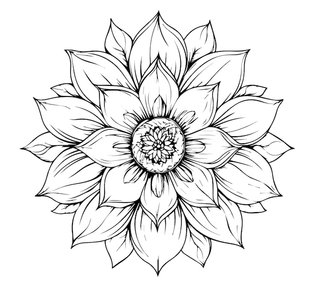 Vector floral mandala outline vector coloring pages for kids