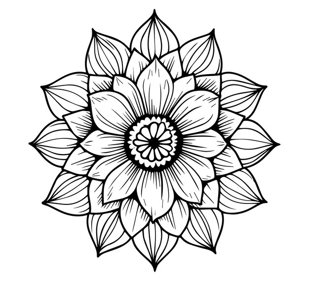 Vector floral mandala outline vector for coloring pages