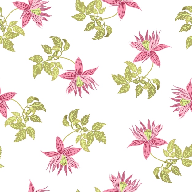 Floral pattern. Clematis. Vector illustration of exotic flowers and leaves