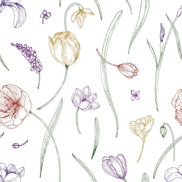 Floral seamless pattern with beautiful blooming garden flowers drawn with colored contour lines on white background.