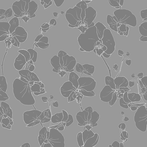 Floral seamless pattern with flowers orchids.