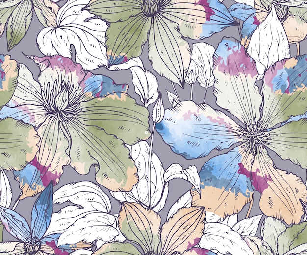 Floral seamless pattern with hand drawn clematis flowers