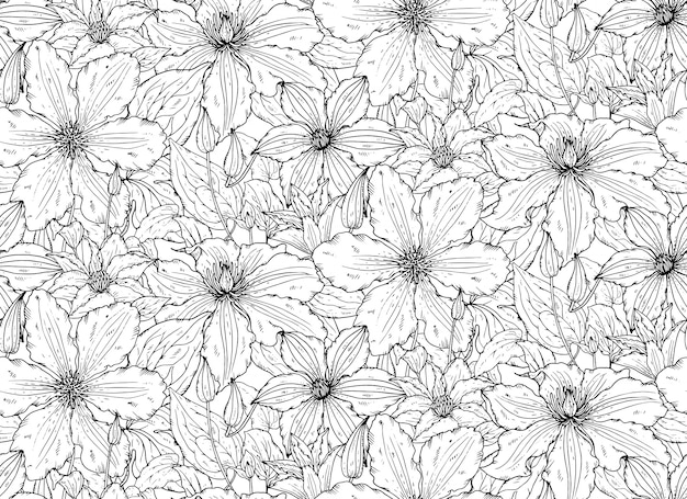 Floral seamless pattern on with hand drawn clematis flowers