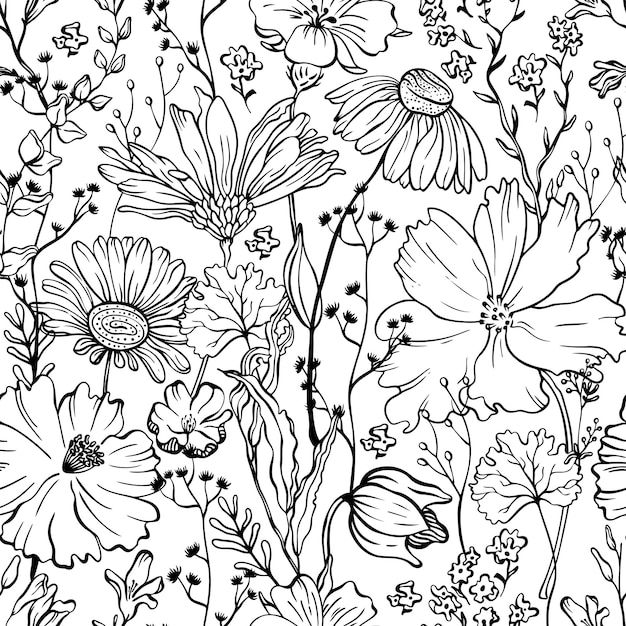 Floral seamless pattern with line flowers on white Botanical vintage background Flowers in bloom