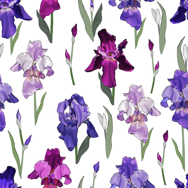 Floral seamless pattern with multicolored irises