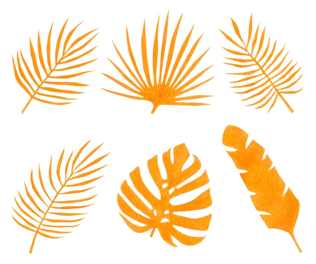 Floral set of gold tropical exotic leaves on white background hand drawn palm leaf illusrtration