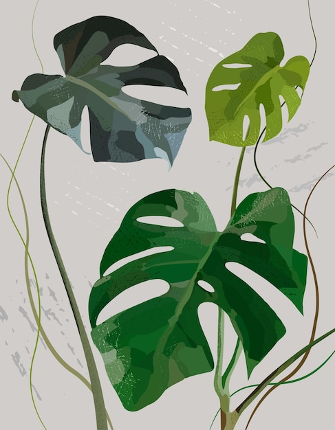 Floral stylish art with tropical monstera leaves. Modern poster with monstera.