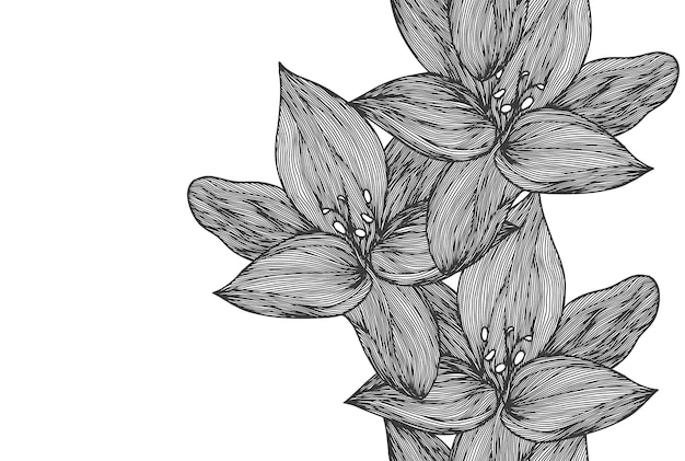 Floral vector background black and white Linear lily flower line seamless pattern for textile design Vector seamless black and white flower pattern