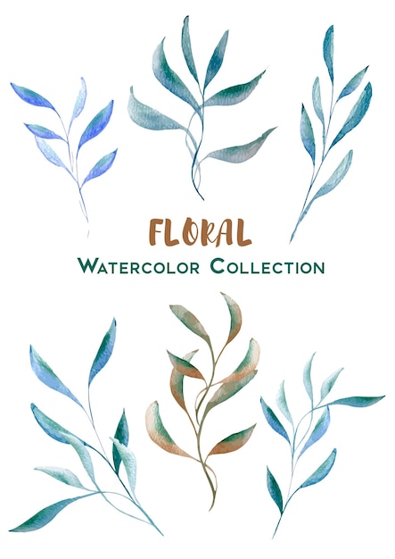 Floral Watercolor Collection