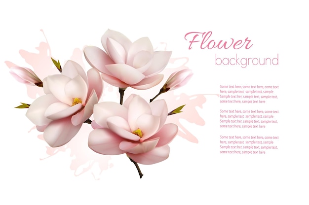 Flower Background With Beautiful Magnolia Vector