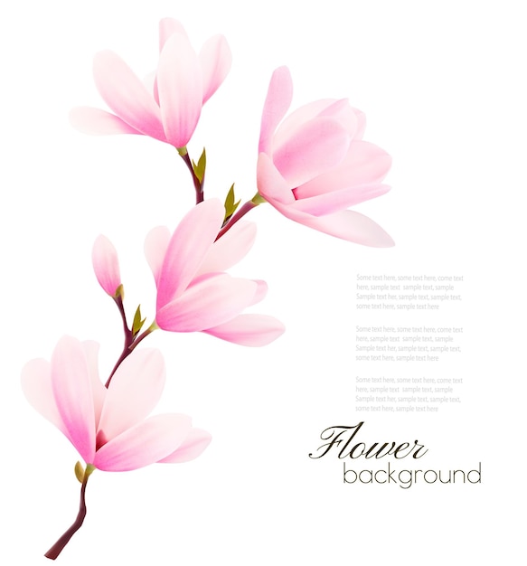 Flower background with blossom branch of pink flowers. 