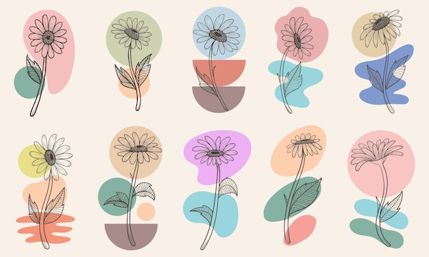 Flower boho aesthetic elements collection vector illustration