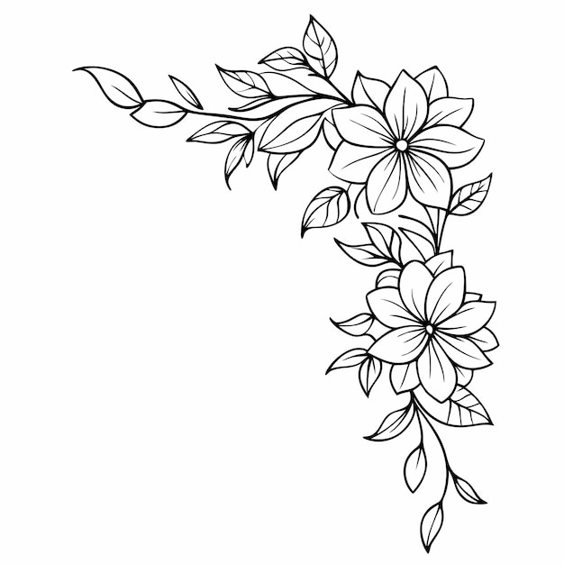 Vector flower border line art outline illustration isolated white background 13