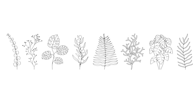 Flower branches plants Set of leafy design elements